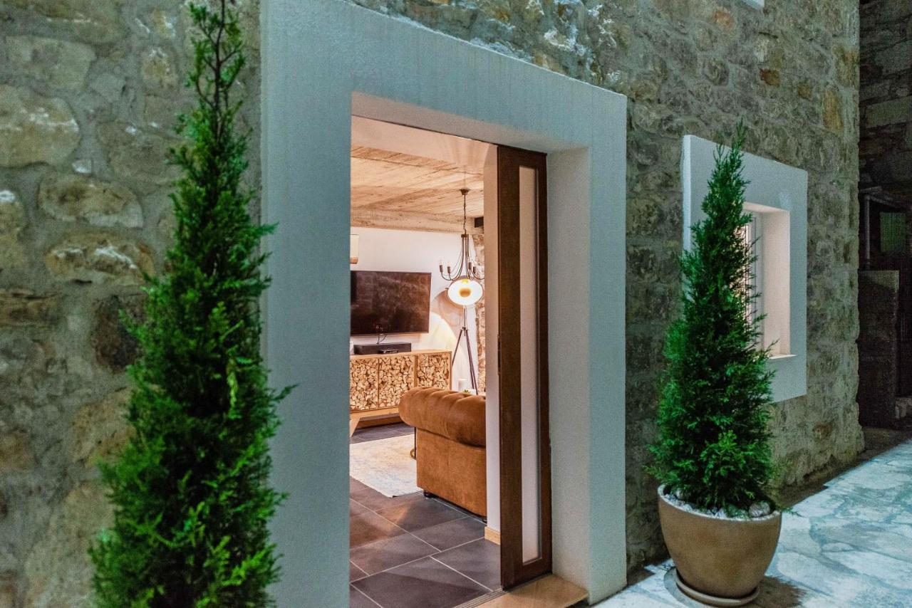 Villa Planita Dalmacija Novigrad  Exterior foto